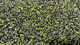 Interface Sherbet Fizz / Bouclée / 50 cm x 50 cm / Vert