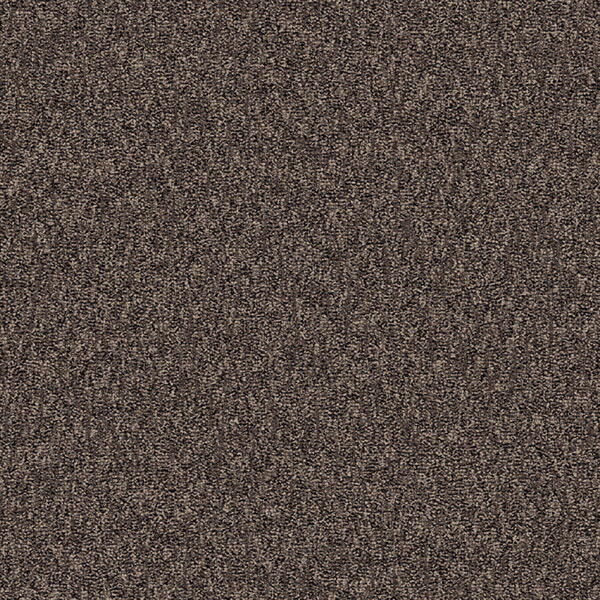 Interface Concrete Mix - Brushed / Bouclée / 50 cm x 50 cm / Gris