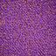 Vous recherchez des dalles de moquette Interface? Special Custom Made dans la couleur Lizard Violet est un excellent choix. Voir ceci et d