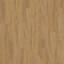 Vous recherchez des dalles de moquette Interface? LVT Woodgrains Planks (Vinyl) dans la couleur Antique Oak est un excellent choix. Voir ceci et d