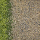 Flax/Grass