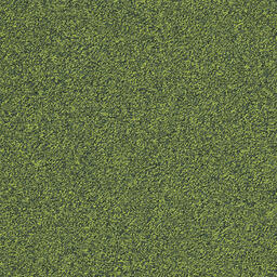 Interface Biosfera Boucle / Bouclée / 50 cm x 50 cm / Vert