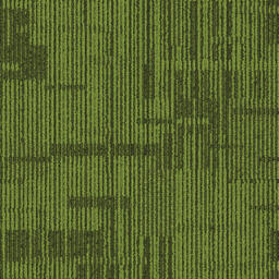 Interface Syncopation II / Bouclée / 50 cm x 50 cm / Marron